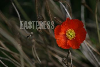 EA030821, Eastpress , Porvoo, Suomi
